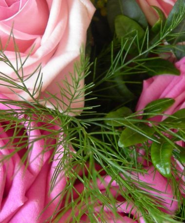 Troyes, la romántica (sólo en inglés)