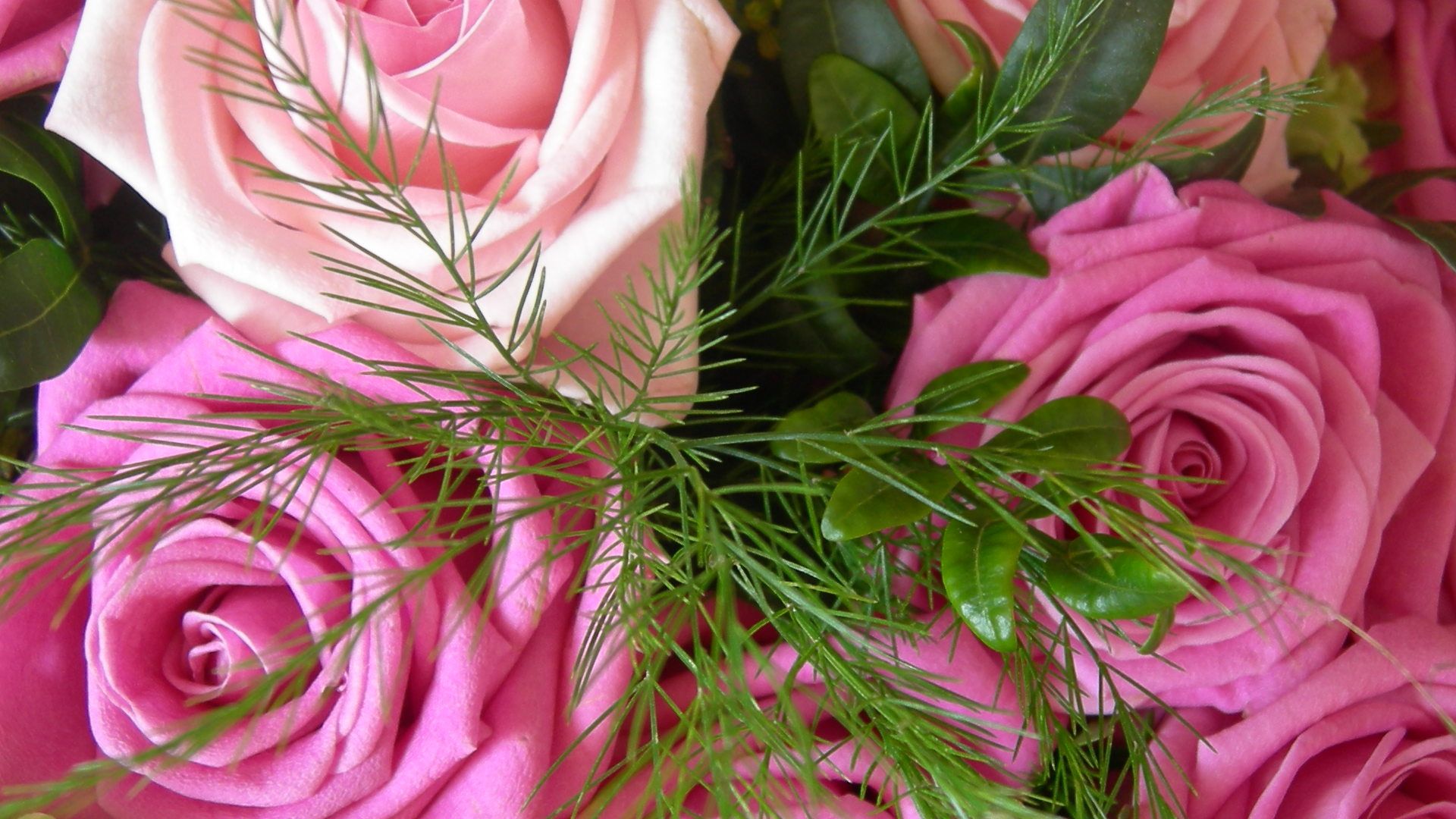 Troyes, la romántica (sólo en inglés)