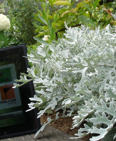 Geocaching en Troyes