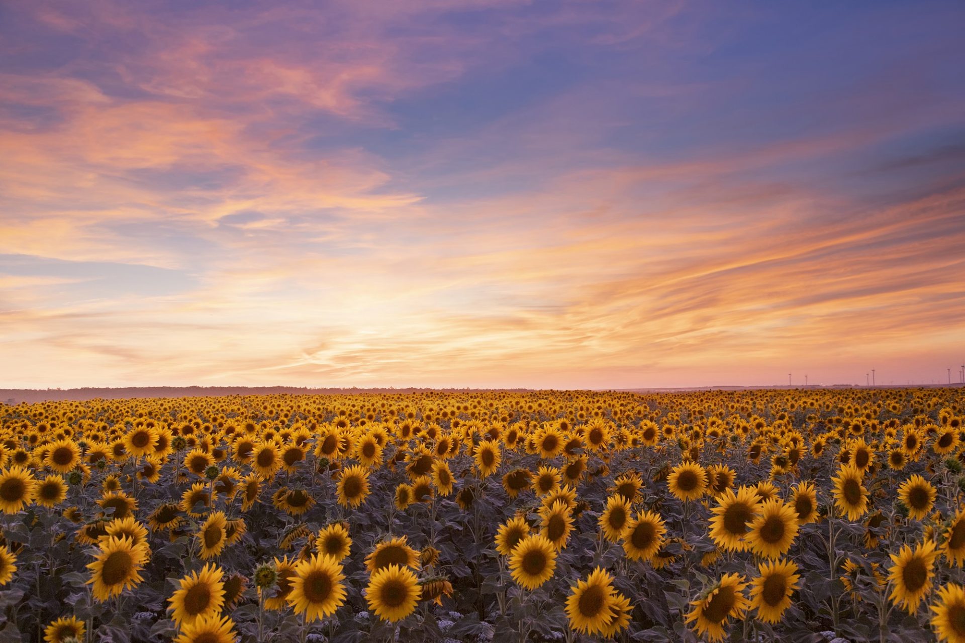 Previsiones meteorológicas