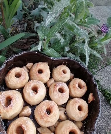 Manzanas en compota-Bernardo de Claraval