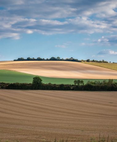 Entre la llanura y la meseta Barrois