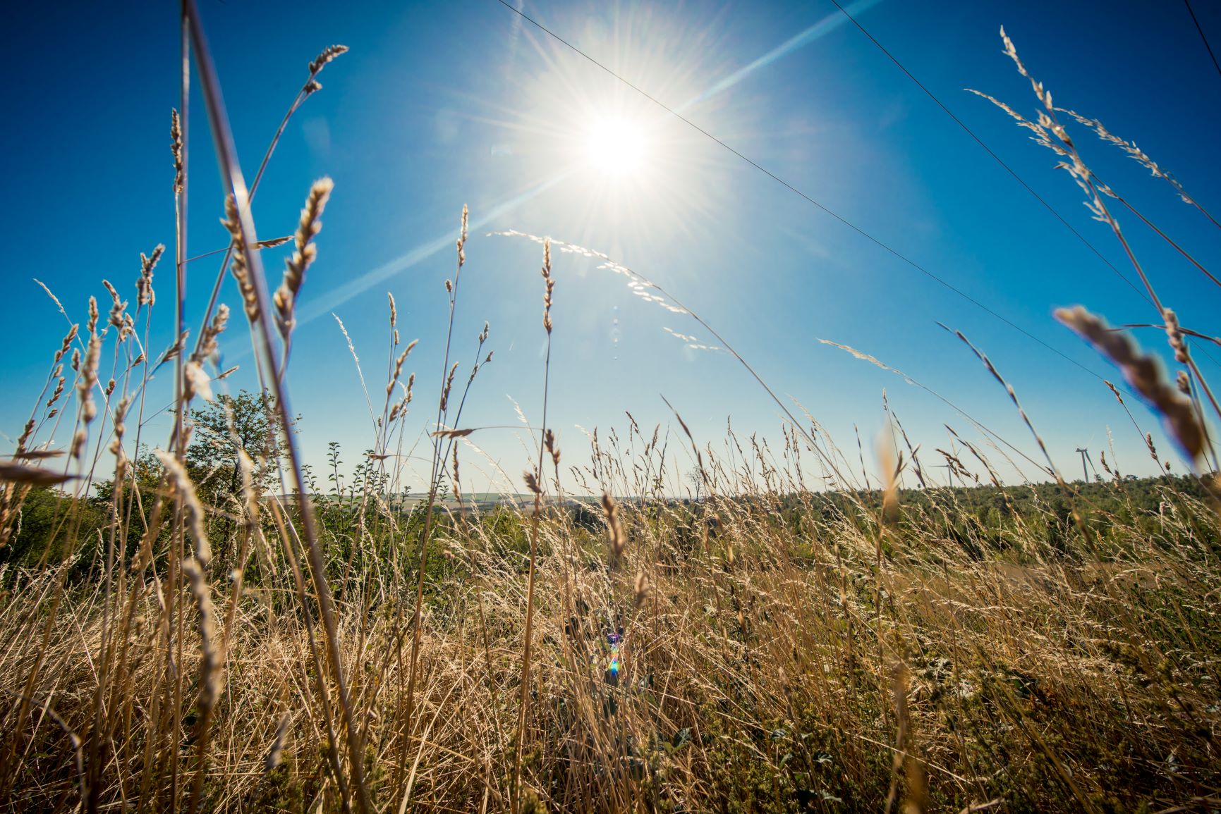 La marca «Troyes la Champagne»