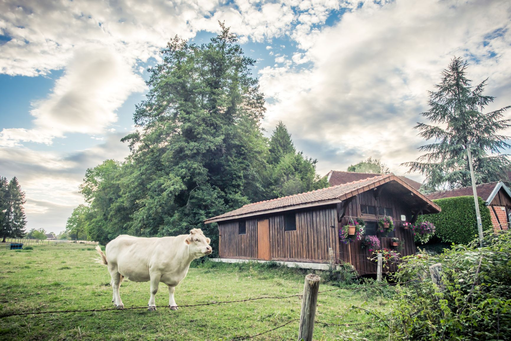 Alrededor de Troyes La Champagne