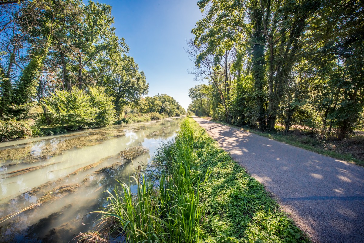 Nature trips in Champagne