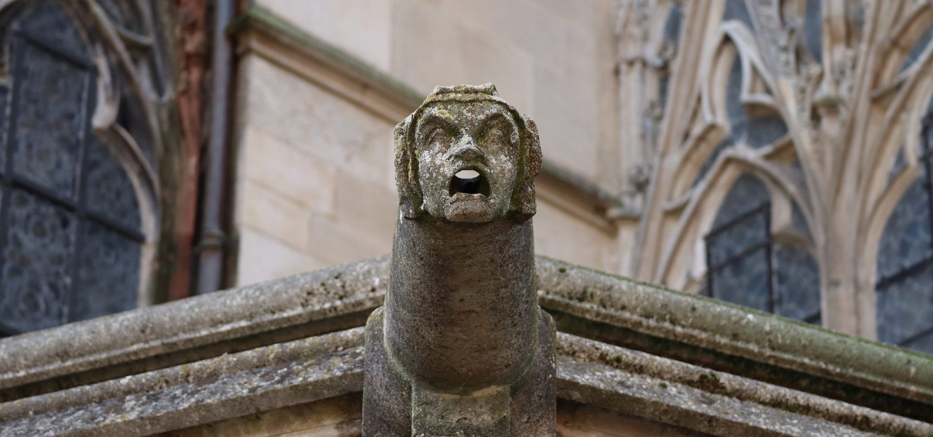 Las monjas tienen agallas