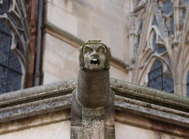 Las monjas tienen agallas