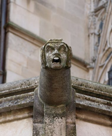 Las monjas tienen agallas