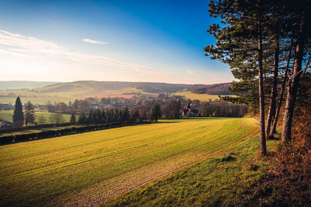 Un universo gráfico