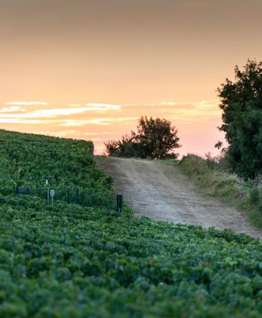 Los caminos de «Terres & Vignes» (Tierra y Viñedos) y las casas rurales