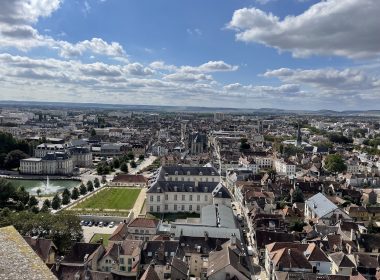 ¡Como un pájaro sin alas!