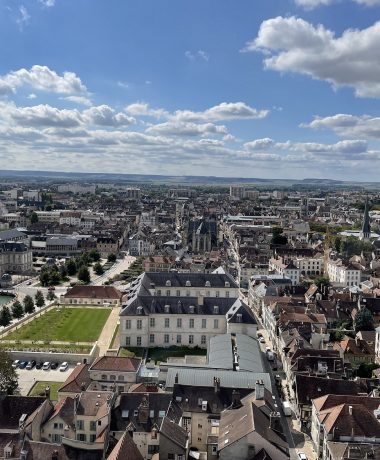 ¡Como un pájaro sin alas!