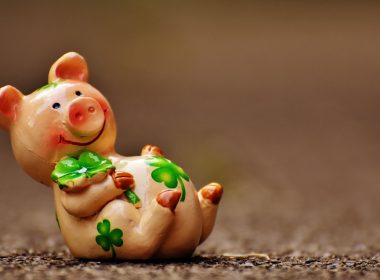 Oda a la Andouillette de Troyes