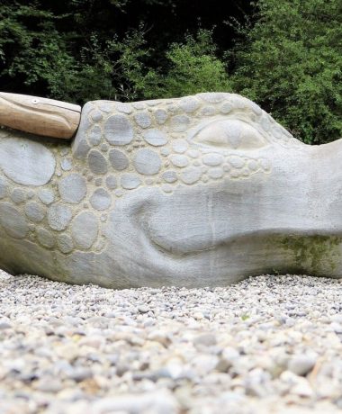 ¡Nosotros también tenemos nuestro monstruo!