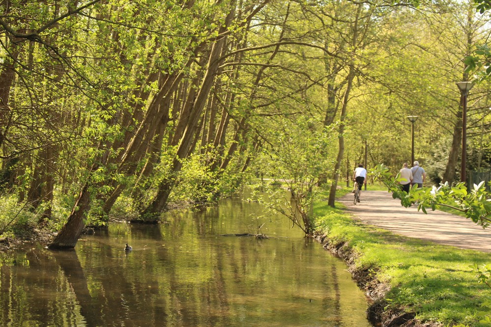 La vía verde de Viena