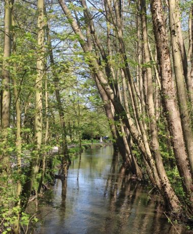 La vía verde de Viena