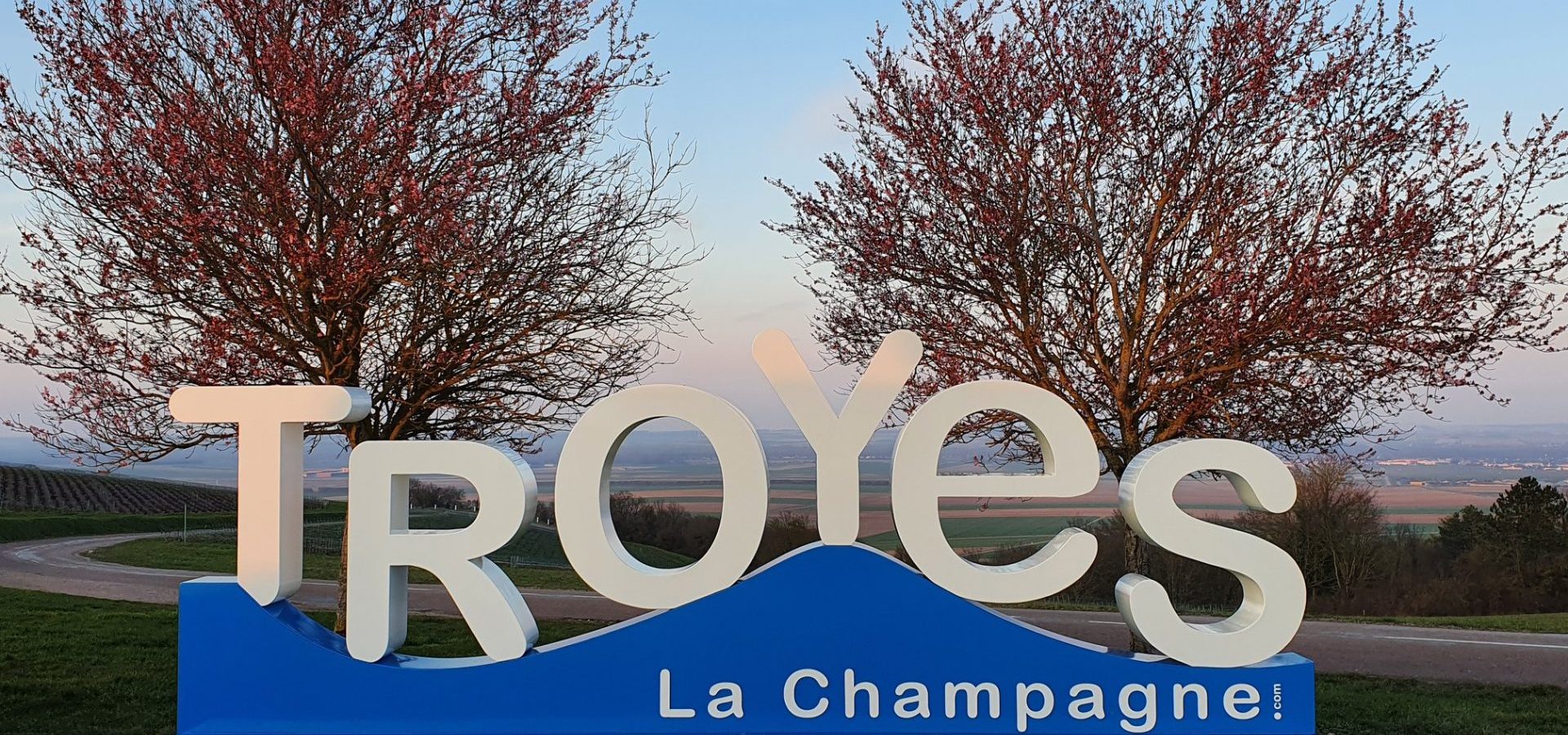 La Marca Territorial