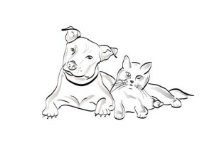 Elevage de labradors de Sweet Eyes