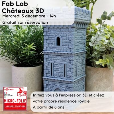 Fablab «Châteaux en 3D»
