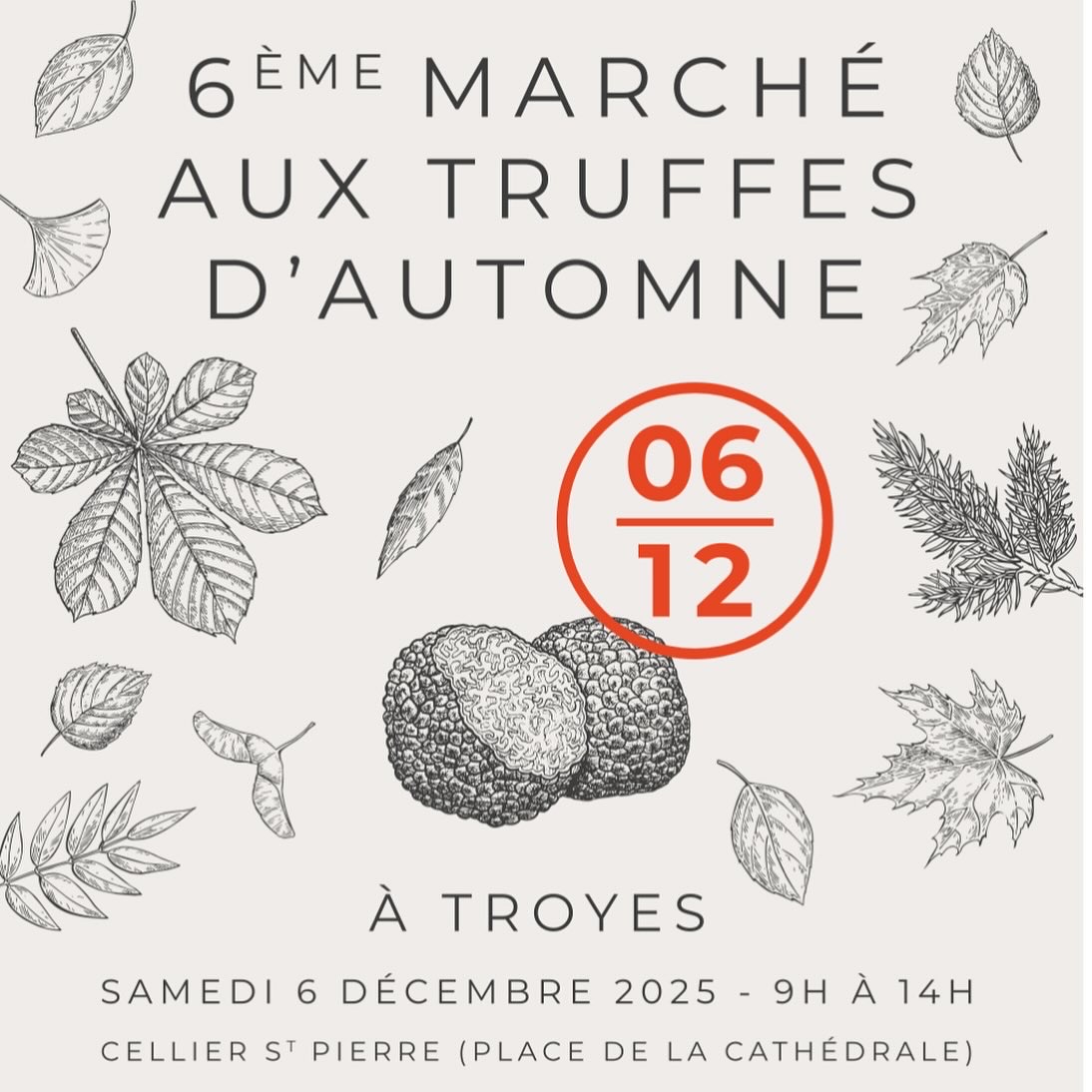 Marché aux truffes d’automne