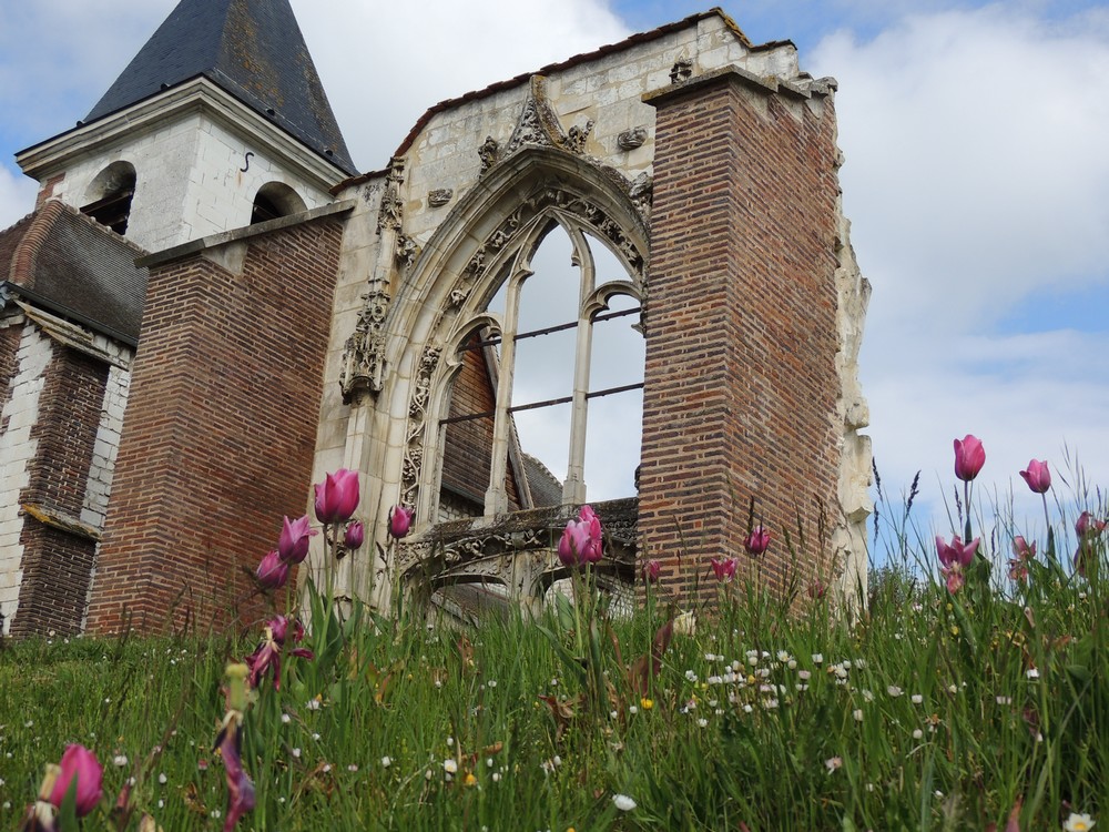 Randonnée au départ de Laines-aux-Bois