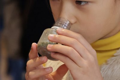 Visite ludique «Nature et sens en éveil»