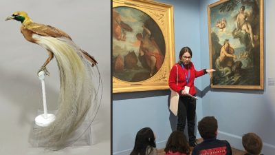 Visite-atelier en famille «Les animaux fantastiques du musée»