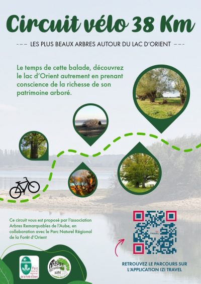 Circuit à vélo des arbres remarquables autour du Lac d’Orient