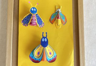 Stage créatif : insecte 3D et fabrication de papier
