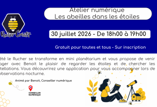 Atelier numérique «les abeilles dans les étoiles»
