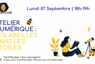 Atelier numérique : Les abeilles dans les étoiles