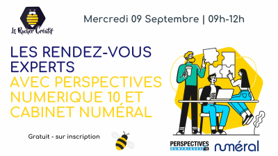 Les Rendez-vous Experts avec Perspectives Numérique 10 et cabinet Numéral