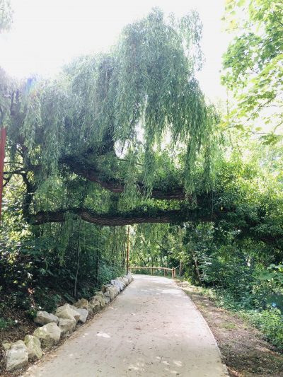 Atelier «bien-être & naturopathie» en Automne