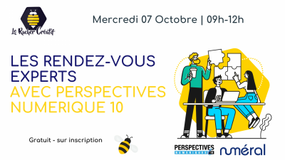 Les Rendez-vous Experts avec Perspectives Numérique 10